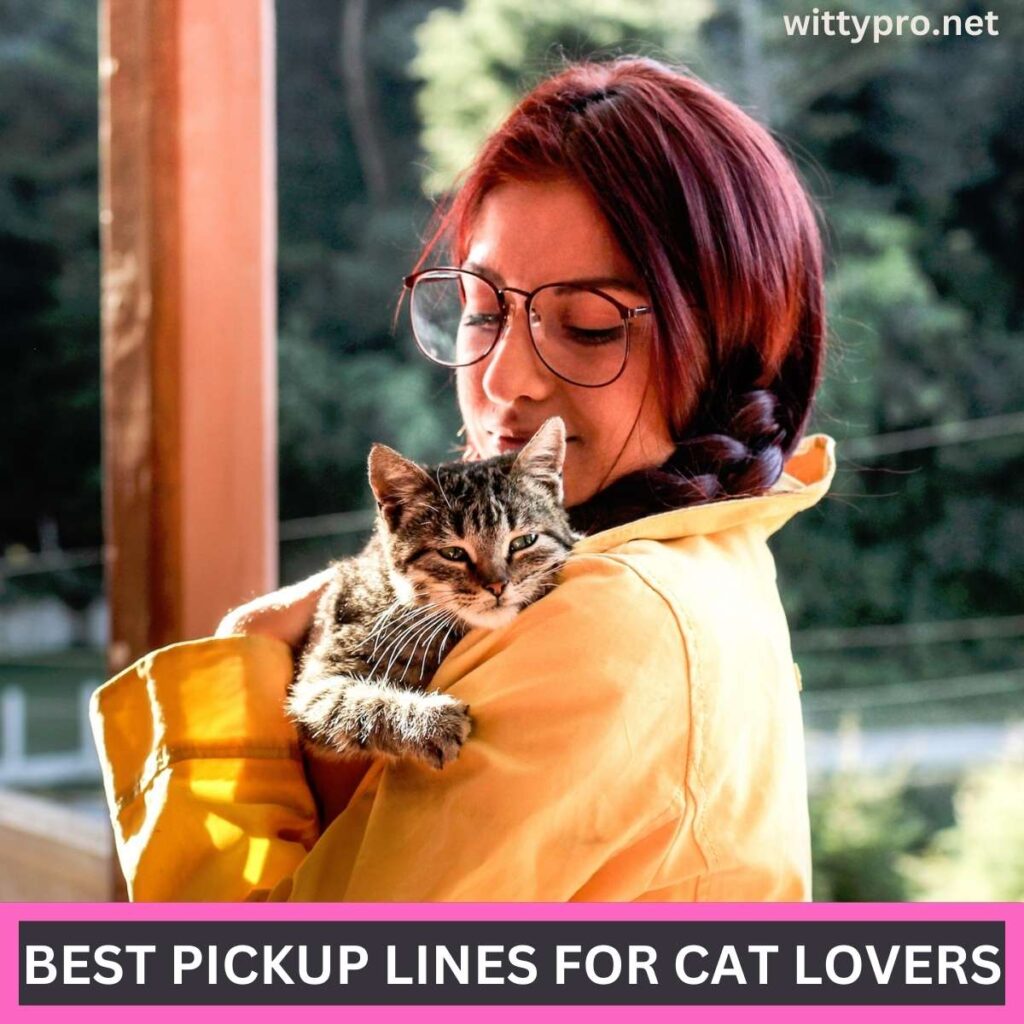 Best Pickup Lines For Cat Lovers