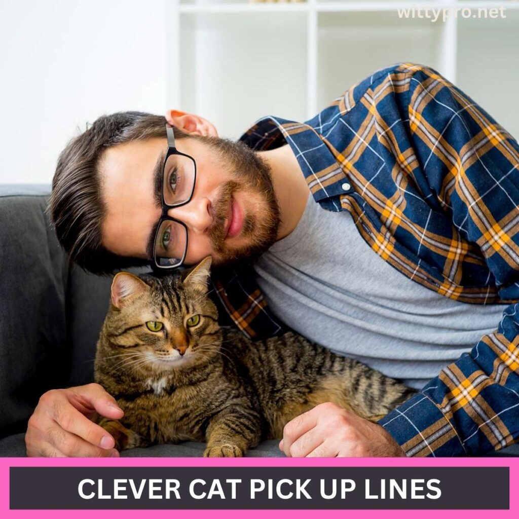 Clever Cat Pick Up Lines