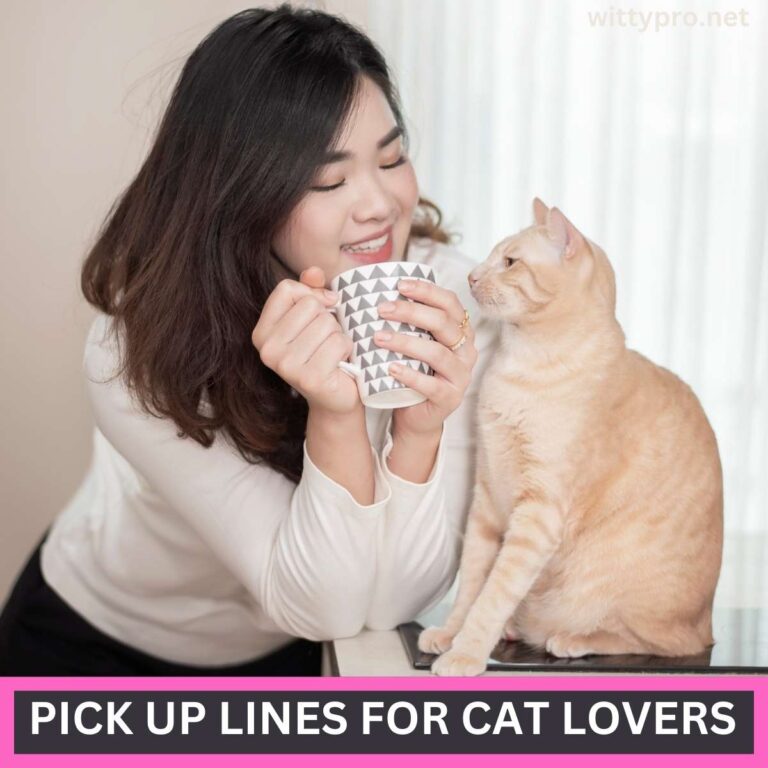 Pick Up Lines For Cat Lovers (1)