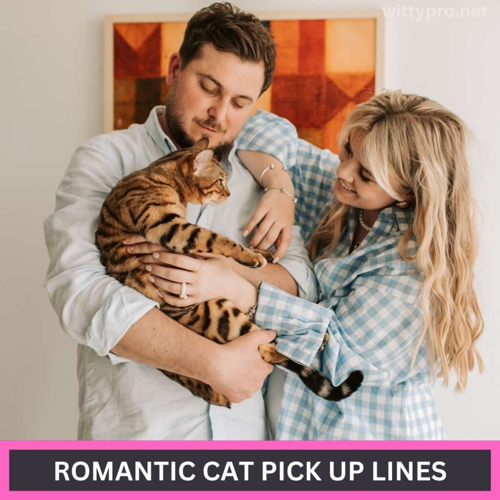 Romantic Cat Pick Up Lines